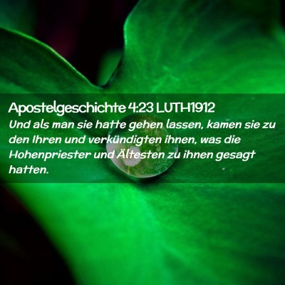 Picture 02 - Apostelgeschichte 4:23 LUTH1912 - Und als man sie hatte gehen lassen, kamen sie zu - Bible Verse Picture