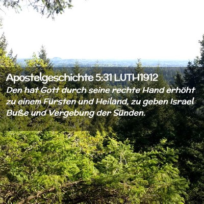 Picture 02 - Apostelgeschichte 5:31 LUTH1912 - Den hat Gott durch seine rechte Hand erhöht zu - Bible Verse Picture