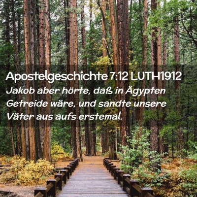 Picture 02 - Apostelgeschichte 7:12 LUTH1912 - Jakob aber hörte, daß in Ägypten Getreide - Bible Verse Picture