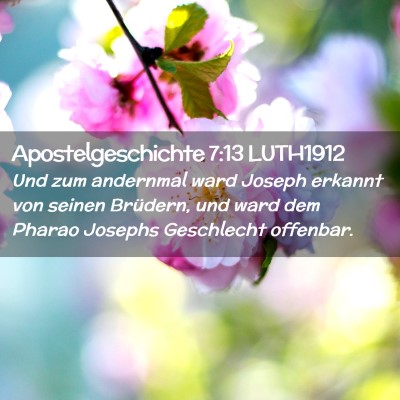 Picture 02 - Apostelgeschichte 7:13 LUTH1912 - Und zum andernmal ward Joseph erkannt von seinen - Bible Verse Picture