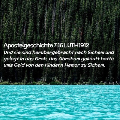 Picture 02 - Apostelgeschichte 7:16 LUTH1912 - Und sie sind herübergebracht nach Sichem und - Bible Verse Picture