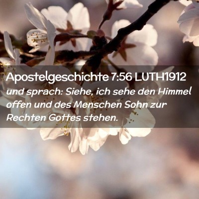 Picture 02 - Apostelgeschichte 7:56 LUTH1912 - und sprach: Siehe, ich sehe den Himmel offen und - Bible Verse Picture