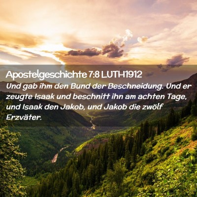 Picture 02 - Apostelgeschichte 7:8 LUTH1912 - Und gab ihm den Bund der Beschneidung. Und er - Bible Verse Picture