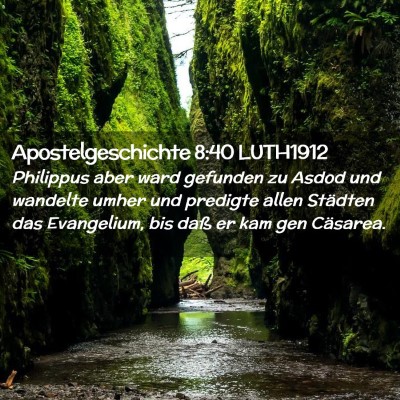 Picture 02 - Apostelgeschichte 8:40 LUTH1912 - Philippus aber ward gefunden zu Asdod und - Bible Verse Picture