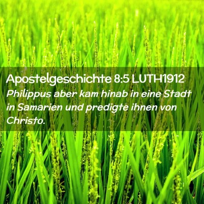 Picture 02 - Apostelgeschichte 8:5 LUTH1912 - Philippus aber kam hinab in eine Stadt in - Bible Verse Picture