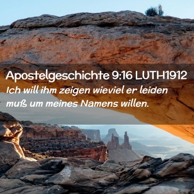 Picture 02 - Apostelgeschichte 9:16 LUTH1912 - Ich will ihm zeigen wieviel er leiden muß um - Bible Verse Picture
