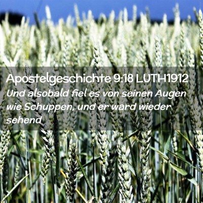 Picture 02 - Apostelgeschichte 9:18 LUTH1912 - Und alsobald fiel es von seinen Augen wie - Bible Verse Picture