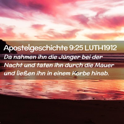 Picture 02 - Apostelgeschichte 9:25 LUTH1912 - Da nahmen ihn die Jünger bei der Nacht und taten - Bible Verse Picture