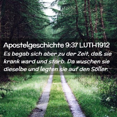 Picture 02 - Apostelgeschichte 9:37 LUTH1912 - Es begab sich aber zu der Zeit, daß sie krank - Bible Verse Picture