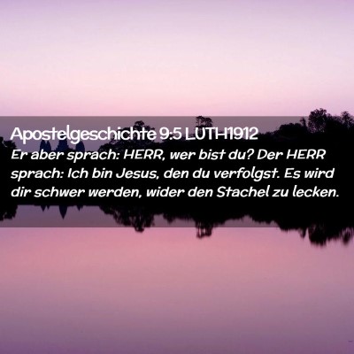 Picture 02 - Apostelgeschichte 9:5 LUTH1912 - Er aber sprach: HERR, wer bist du? Der HERR - Bible Verse Picture