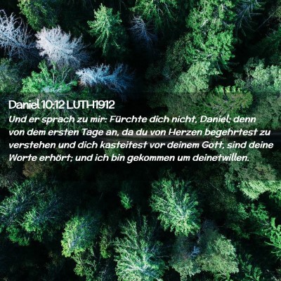 Picture 02 - Daniel 10:12 LUTH1912 - Und er sprach zu mir: Fürchte dich nicht, - Bible Verse Picture