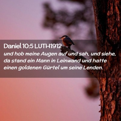 Picture 02 - Daniel 10:5 LUTH1912 - und hob meine Augen auf und sah, und siehe, da - Bible Verse Picture