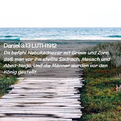 Picture 02 - Daniel 3:13 LUTH1912 - Da befahl Nebukadnezar mit Grimm und Zorn, daß - Bible Verse Picture