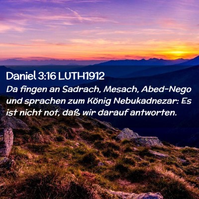 Picture 02 - Daniel 3:16 LUTH1912 - Da fingen an Sadrach, Mesach, Abed-Nego und - Bible Verse Picture