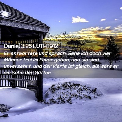 Picture 02 - Daniel 3:25 LUTH1912 - Er antwortete und sprach: Sehe ich doch vier - Bible Verse Picture