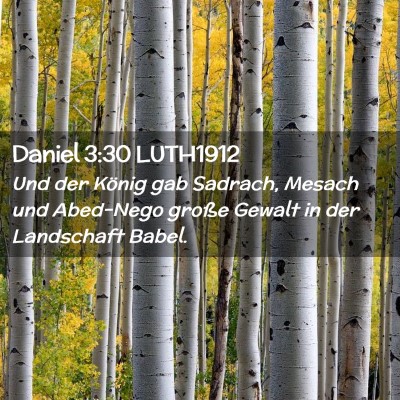 Picture 02 - Daniel 3:30 LUTH1912 - Und der König gab Sadrach, Mesach und Abed-Nego - Bible Verse Picture
