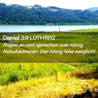 Picture 02 - Daniel 3:9 LUTH1912 - fingen an und sprachen zum König Nebukadnezar: - Bible Verse Picture