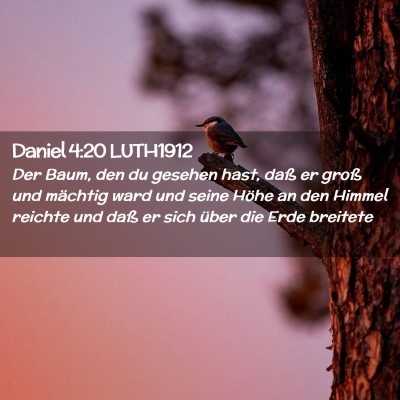 Picture 02 - Daniel 4:20 LUTH1912 - Der Baum, den du gesehen hast, daß er groß und - Bible Verse Picture
