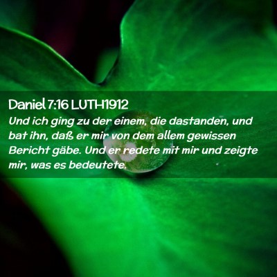 Picture 02 - Daniel 7:16 LUTH1912 - Und ich ging zu der einem, die dastanden, und bat - Bible Verse Picture