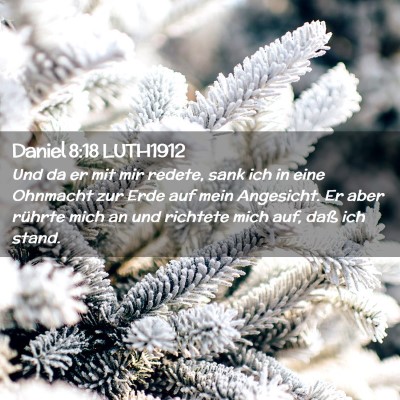Picture 02 - Daniel 8:18 LUTH1912 - Und da er mit mir redete, sank ich in eine - Bible Verse Picture