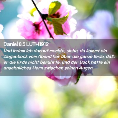 Picture 02 - Daniel 8:5 LUTH1912 - Und indem ich darauf merkte, siehe, da kommt ein - Bible Verse Picture