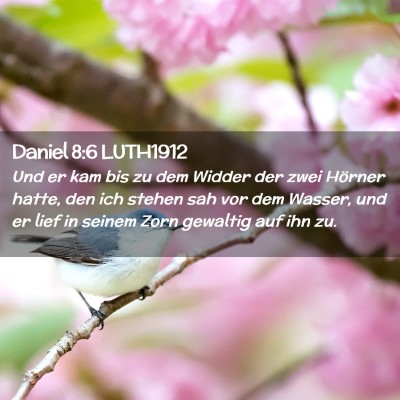 Picture 02 - Daniel 8:6 LUTH1912 - Und er kam bis zu dem Widder der zwei Hörner - Bible Verse Picture