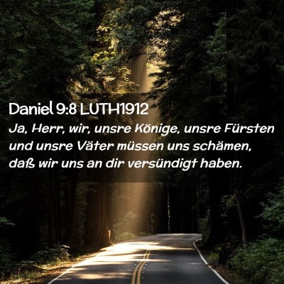 Picture 02 - Daniel 9:8 LUTH1912 - Ja, Herr, wir, unsre Könige, unsre Fürsten und - Bible Verse Picture