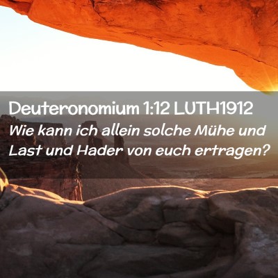 Picture 02 - Deuteronomium 1:12 LUTH1912 - Wie kann ich allein solche Mühe und Last und - Bible Verse Picture