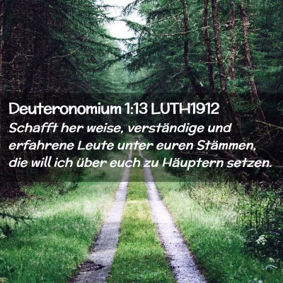 Picture 02 - Deuteronomium 1:13 LUTH1912 - Schafft her weise, verständige und erfahrene - Bible Verse Picture