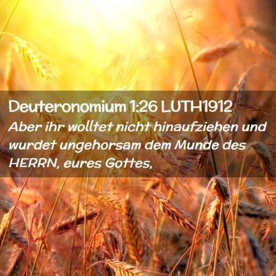 Picture 02 - Deuteronomium 1:26 LUTH1912 - Aber ihr wolltet nicht hinaufziehen und wurdet - Bible Verse Picture