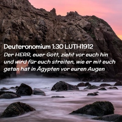 Picture 02 - Deuteronomium 1:30 LUTH1912 - Der HERR, euer Gott, zieht vor euch hin und wird - Bible Verse Picture