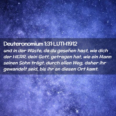 Picture 02 - Deuteronomium 1:31 LUTH1912 - und in der Wüste, da du gesehen hast, wie dich - Bible Verse Picture