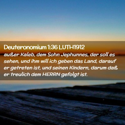 Picture 02 - Deuteronomium 1:36 LUTH1912 - außer Kaleb, dem Sohn Jephunnes, der soll es - Bible Verse Picture