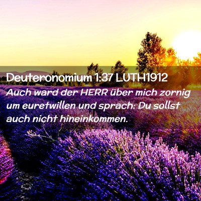 Picture 02 - Deuteronomium 1:37 LUTH1912 - Auch ward der HERR über mich zornig um - Bible Verse Picture