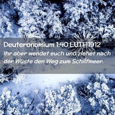 Picture 02 - Deuteronomium 1:40 LUTH1912 - Ihr aber wendet euch und ziehet nach der Wüste - Bible Verse Picture
