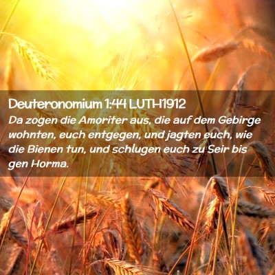 Picture 02 - Deuteronomium 1:44 LUTH1912 - Da zogen die Amoriter aus, die auf dem Gebirge - Bible Verse Picture