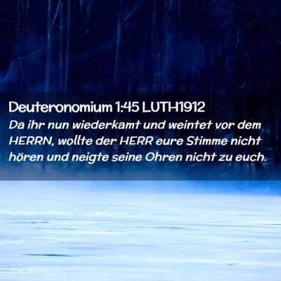 Picture 02 - Deuteronomium 1:45 LUTH1912 - Da ihr nun wiederkamt und weintet vor dem HERRN, - Bible Verse Picture
