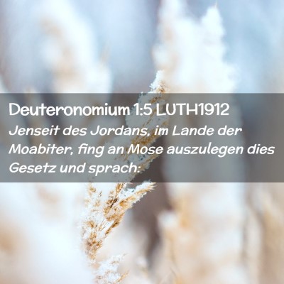 Picture 02 - Deuteronomium 1:5 LUTH1912 - Jenseit des Jordans, im Lande der Moabiter, fing - Bible Verse Picture
