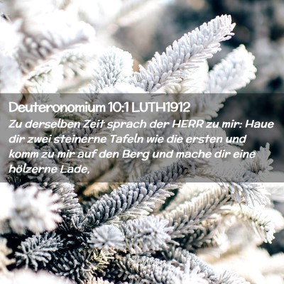 Picture 02 - Deuteronomium 10:1 LUTH1912 - Zu derselben Zeit sprach der HERR zu mir: Haue - Bible Verse Picture