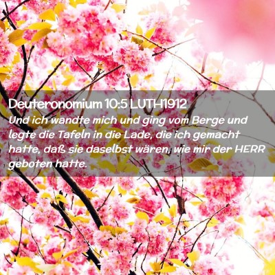 Picture 02 - Deuteronomium 10:5 LUTH1912 - Und ich wandte mich und ging vom Berge und legte - Bible Verse Picture