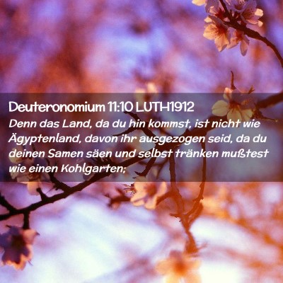 Picture 02 - Deuteronomium 11:10 LUTH1912 - Denn das Land, da du hin kommst, ist nicht wie - Bible Verse Picture
