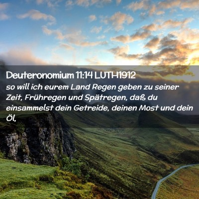 Picture 02 - Deuteronomium 11:14 LUTH1912 - so will ich eurem Land Regen geben zu seiner - Bible Verse Picture