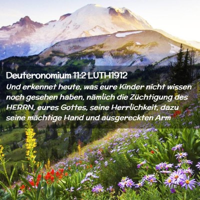 Picture 02 - Deuteronomium 11:2 LUTH1912 - Und erkennet heute, was eure Kinder nicht wissen - Bible Verse Picture