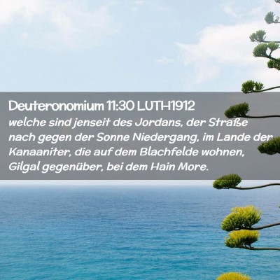 Picture 02 - Deuteronomium 11:30 LUTH1912 - welche sind jenseit des Jordans, der Straße nach - Bible Verse Picture