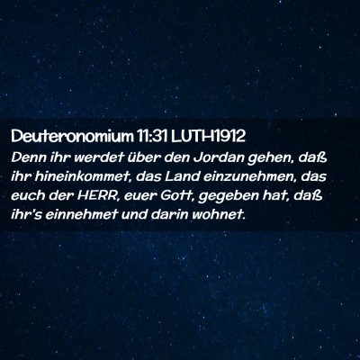 Picture 02 - Deuteronomium 11:31 LUTH1912 - Denn ihr werdet über den Jordan gehen, daß ihr - Bible Verse Picture