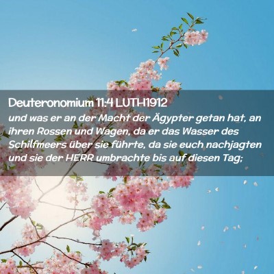 Picture 02 - Deuteronomium 11:4 LUTH1912 - und was er an der Macht der Ägypter getan hat, - Bible Verse Picture