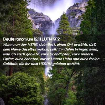 Picture 02 - Deuteronomium 12:11 LUTH1912 - Wenn nun der HERR, dein Gott, einen Ort erwählt, - Bible Verse Picture