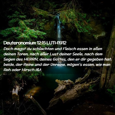 Picture 02 - Deuteronomium 12:15 LUTH1912 - Doch magst du schlachten und Fleisch essen in - Bible Verse Picture