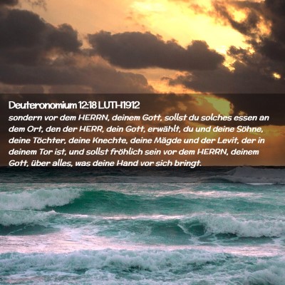 Picture 02 - Deuteronomium 12:18 LUTH1912 - sondern vor dem HERRN, deinem Gott, sollst du - Bible Verse Picture