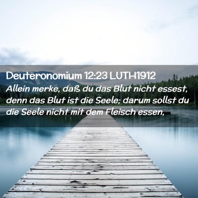 Picture 02 - Deuteronomium 12:23 LUTH1912 - Allein merke, daß du das Blut nicht essest, denn - Bible Verse Picture